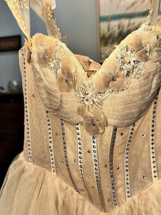 Dresses & Skirts - Embellished Tulle Prom Dress in Cream